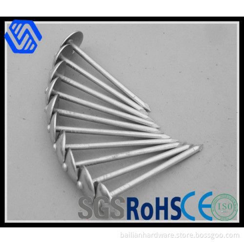 Cooper Coated Umbrella Roofing Nails